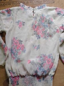 Floral Print Sheer Blouse/top