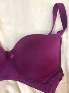 Plum Padded Bra