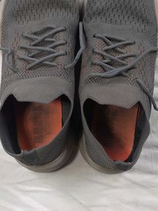 Sneakers For Female.