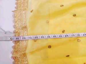 Beautiful Yellow Embellished Gown