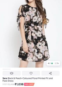 Floral Printed Fit and Flare Dress