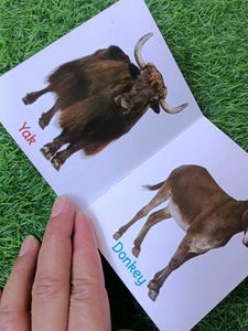 Set of 4 Board Books for Toddlers