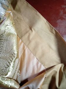 Elegant Peach &amp; Silver Saree