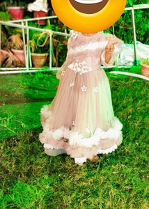 long gown or frock