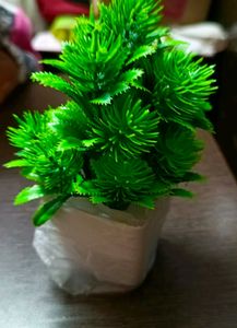 Artificial Plant 4 Piece