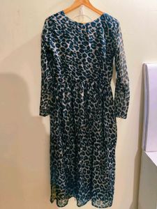 Animal Print Long Sleeve Dress