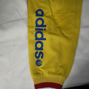 Yellow Sweatpants Joggers Trousers