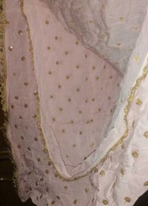 Light Pink Sequined Dupatta