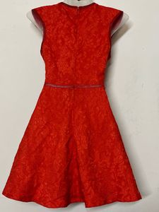 Branded Vibrant Red Lace mini Dress