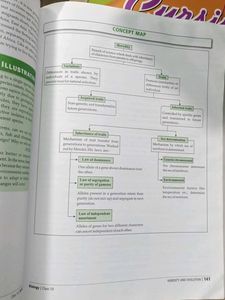 MTG Foundation Course Books - Class 10