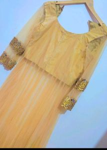 Nude Golden Partywear Gown For 32 Bust