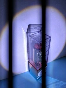 Double shaded Miss Betty Lipstick in two different