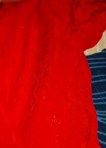 Red Embroidered suit
