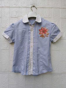 New with tag Blue Embroidered Puff Sleeve Top