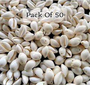 Sea Shells 50 Pic