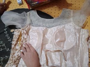 Party Wear Gown With Net Neck