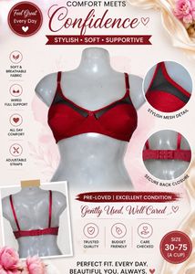 ❤️ Stylish Red Mesh Bra |