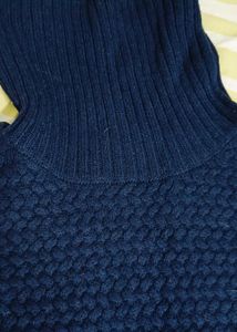 woolen Navy Blue Turtleneck Knit Dress