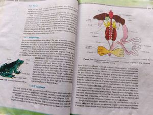 class 11 all NCERT books for science