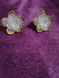 Elegant Earrings (set of 5)