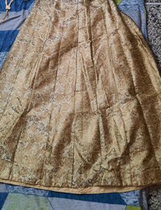 Ethnic beautiful golden skirt