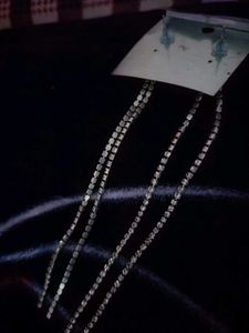 Fancy Two Line Rhinestone Earrings