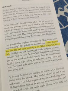 Things We Never Said - Book