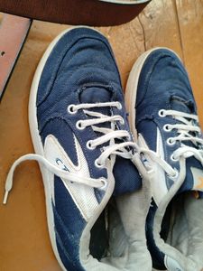 Blue Coasters Sneakers | Shoes