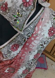 Designer Embellished Saree