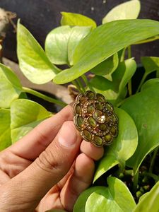 Elegant Golden Ring 💍👑