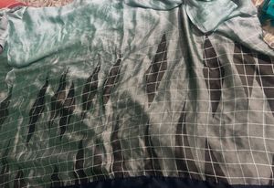 Elegant Mint Green Saree