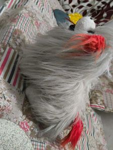 Cute Plush Dog Toy