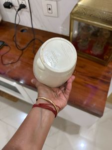 Stylish Cream Planter Pot