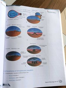 PW MED ED anatomy notes of Dr. Pradeep Pawar
