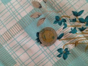 Rare Coins 📉📈 Pack Of 1