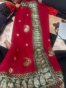 Elegant Red Saree with Paisley Embroidery