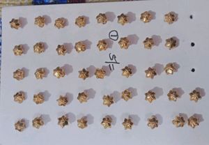 Multi Design Gold Nosepins