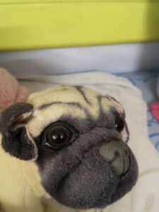 Cute Plush Toy Set