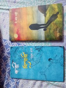 Hindi Fiction Book Bundle