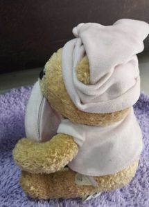 Winnie the Pooh Plush Photo Frame