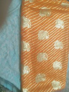 Vibrant Orange Saree with Gold Border