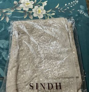 SALE Sequin SINDH Saree- 2hrs used