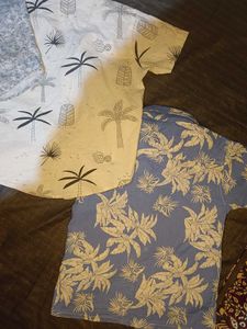 Pack of 3 shirt