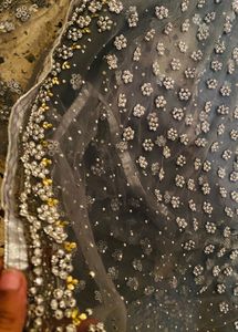 Embellished Saree