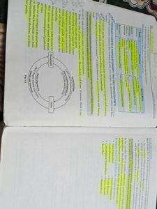 Introductory Macro Economics for Class XII