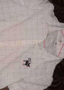 Cute Cat Print Cropped Shirt
