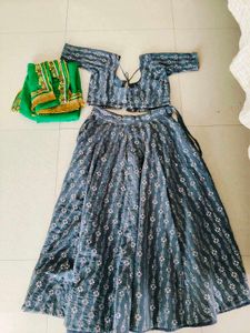 Beautiful Blue Printed Lehenga Choli