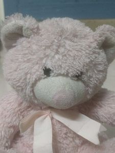 Cute Pink Teddy Bear Plush Toy