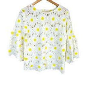 Chic Daisy Lace Cropped Top