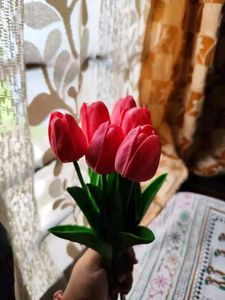 Rose Flowered🌷